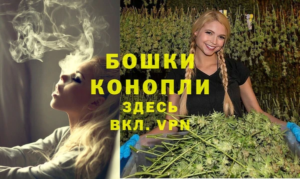 ALPHA PVP Медвежьегорск