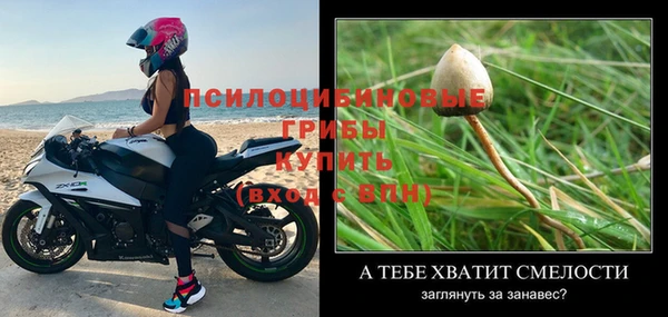 бошки Майский