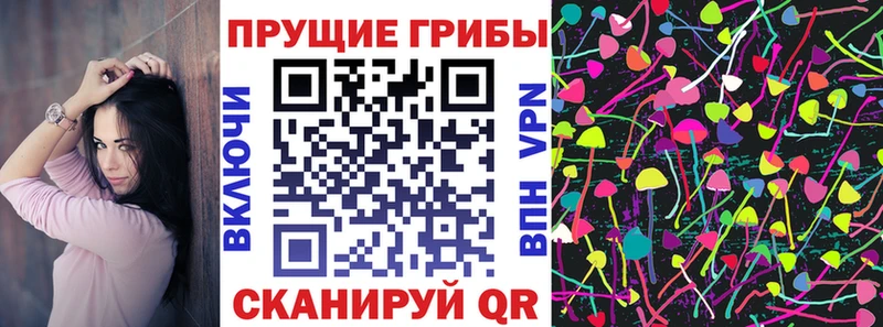 даркнет Telegram  купить наркотики цена  Инсар  Псилоцибиновые грибы Psilocybine cubensis 