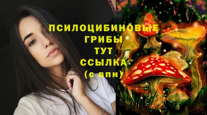 Псилоцибиновые грибы MAGIC MUSHROOMS  Инсар 